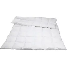 Traumina Silk de Luxe Daune Kassettendecke WK 4 (Größe: 240x220 cm*)