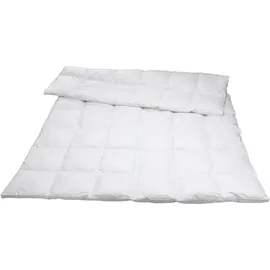 Traumina Silk de Luxe Daune Kassettendecke WK 4 (Größe: 240x220 cm*)