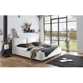 Home Affaire Polsterbett HOME AFFAIRE "Silverwood", grau (hellgrau), B:201cm H:97cm L:229cm, Betten, Polsterbett, in morderner Optik und hoher Belastbarkeit