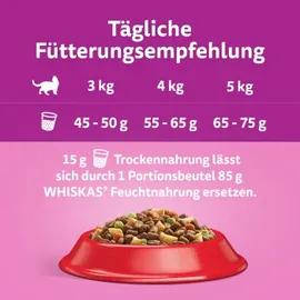 Whiskas 1+ Rind, 3.80kg
