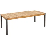 Zebra Technologies Derex Gartentisch 220 x 100 x 75 cm Teak/Edelstahl