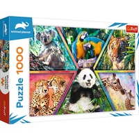 Trefl Puzzle Animal Kingdom (10672)