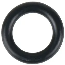 O-Ring für Ventil 515.3881-R002P