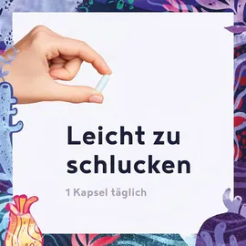 Alpha Foods Marine Collagen Kapseln 160 St.
