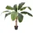Europalms Bananenbaum, 100cm