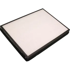 Rowenta 2 in 1 Charbon+ Allergy+ XD6231F0,