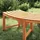 vidaXL Baumbank 160 x 80 x 45 cm Braun