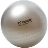 Togu Powerball Premium Silber 55 cm