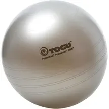 Togu Powerball Premium Silber 55 cm