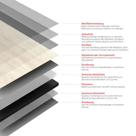 Schulte Duschrückwand Kalkstein-Beige