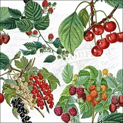 Ambiente 20 Servietten Papier 33x33cm 3-lag - hochwertige Einweg Papierservietten mit Beeren Kirschen Sommerobst Vintage Früchtemotiv Gartenfest Picknick Feier