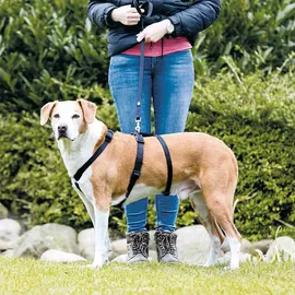 Trixie Stay Hundegeschirr Schwarz L–XL