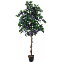 Europalms Bougainvillea, lavendel, 180cm