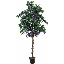 Europalms Bougainvillea, lavendel, 180cm