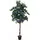 Europalms Bougainvillea, lavendel, 180cm