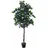 Europalms Bougainvillea, lavendel, 180cm