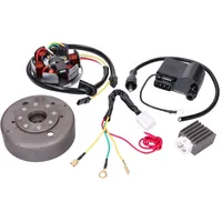 Standard Parts Umrüstkit Lichtmaschine 12V Kreidler / Sachs / Zündapp