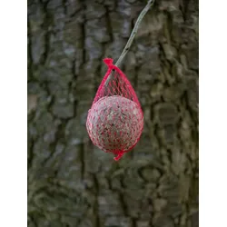 Tedje Meisenknödel Frucht und Insekt