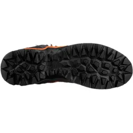 Salewa Mountain Trainer Lite Mid GTX Herren Black Out/Carrot 47