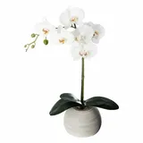 Atmosphera Créateur d'intérieur Kunstblume Orchidee in mehrfarben | Gr.: onesize