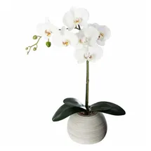 Atmosphera Créateur d'intérieur Kunstblume Orchidee in mehrfarben | Gr.: onesize