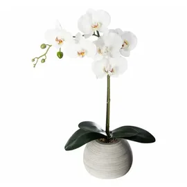 Atmosphera Créateur d'intérieur Kunstblume Orchidee in mehrfarben | Gr.: onesize