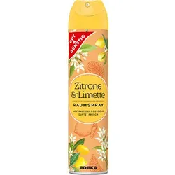 GUT&GÜNSTIG Raumspray Citrus 300,0 ml, 1 St.