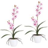 Creativ green Kunstpflanze »Orchidee Dendrobie«, im Keramiktopf, rosa