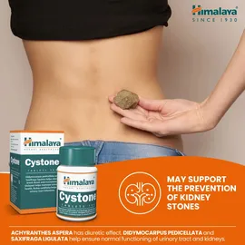 Himalaya Herbals Cystone Tabletten 100 St.