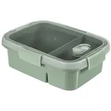 Curver 250000 Go Rectangular Storage Container 0.6 L + 0.3 L with Separator – Recycled (Smart Eco Line), Plastic