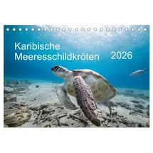 Calvendo Karibische Meeresschildkröten (Tischkalender 2026 DIN A5 quer), CALVENDO Monatskalender: