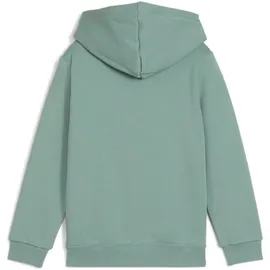 Puma Unisex-Kinder ESS No. 1 Logo Hoodie FL PS Kapuzenpullis, Green Moon,