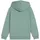 Puma Unisex-Kinder ESS No. 1 Logo Hoodie FL PS Kapuzenpullis, Green Moon,