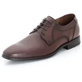 LLOYD Osmond dunkelbraun 40