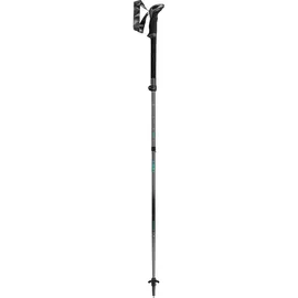Leki Cressida FX TA 100 - 120 cm grau-schwarz
