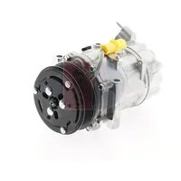 AKS DASIS Kompressor, Klimaanlage