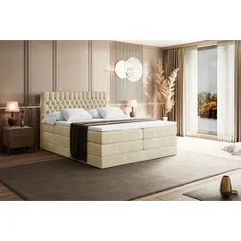 altdecor Boxspringbett mit Matratze, Topper, Polsterbett mit, Bettkasten SERENE KING - 160x200 - Beige Monolith