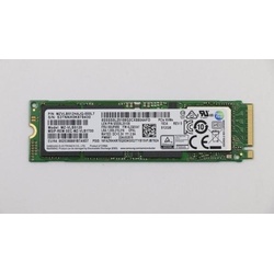 Lenovo Intel SSD verschlüsselt (256 GB, M.2 2280), SSD