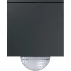 Gira Wächter 244210