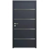 FM Türen Nebeneingangstür NBT56-02  (100 x 200 cm, DIN Anschlag: Links, Anthrazit)