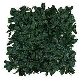 Mendler Sichtschutz Wandfliese HWC-L78 50 x 50 cm Grün Kunststoff 4 St.