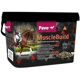 Pavo Muscle Build