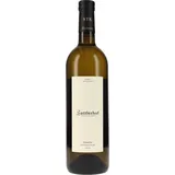 Weingut Sattlerhof Sauvignon Blanc Gamlitz DAC 2024 0,75 l