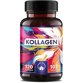 Saint Nutrition Kollagen + Hyaluron Kapseln hochdosiert 1000 mg 120 St.