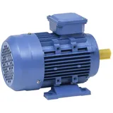 vidaXL 3-Phasen-Elektromotor