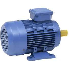 vidaXL Elektromotor, 3-Phasen-Elektromotor