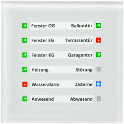 MDT Glas LED Anzeige SCN-GLED1W.01
