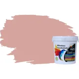 RyFo Colors Silikonharz Fassadenfarbe Lotuseffekt Trend Lachsrot 1l - bunte Fassadenfarbe, weitere Rot Farbtöne und Größen erhältlich, Deckkraft Klasse 1