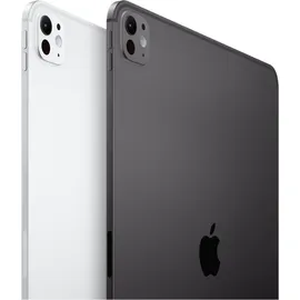 Apple iPad Pro 11" (5. Generation 2024) 2 TB Wi-Fi + Cellular Nanotexturglas Silber