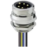 Lutronic 7830 04 T13CW 0,5m Sensor-/Aktor-Einbausteckverbinder 7/8 Stecker, Einbau Polzahl: 4
